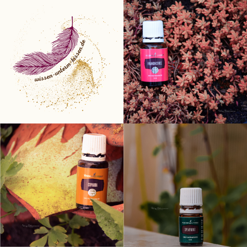 Weihrauch, Copaiba, Spearmint ätherische Öle