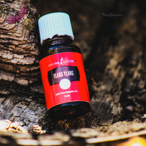 ÄTHERISCHES ÖL YOUNG LIVING YLANG YLANG