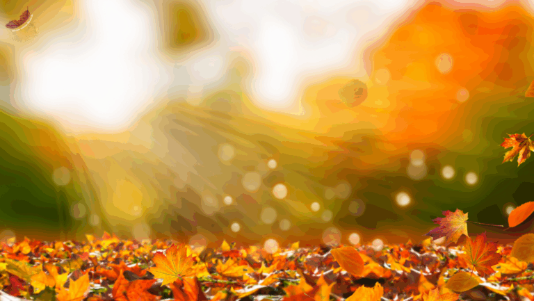 Portaltage & Energien im Oktober 2025 🍂 Bedeutung & passende ätherische Öle