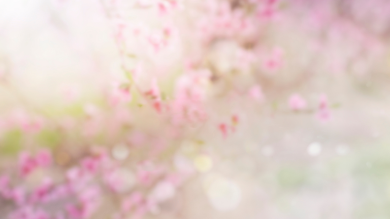 Energievorschau April 2026