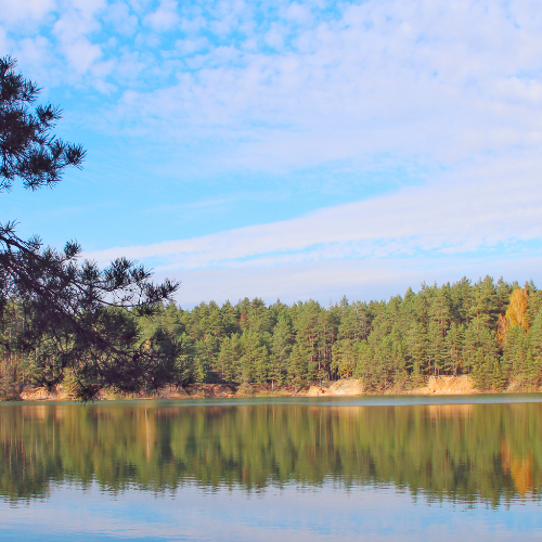 Entspannung in der Natur mit Blick auf Wasser