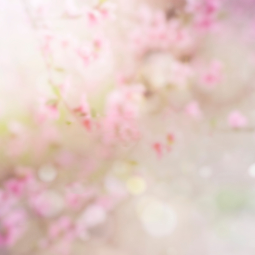 Zarter Blütenzauber