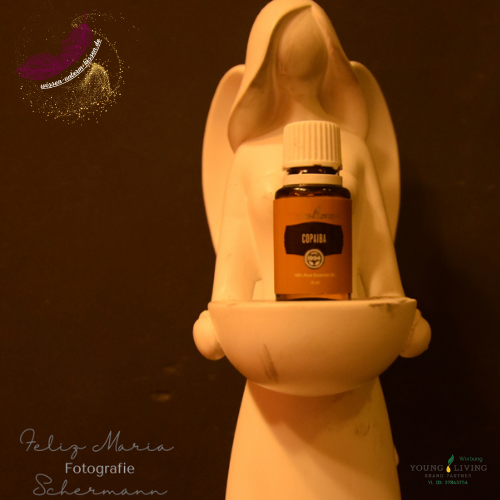 ätherisches Öl Copaiba, Harz