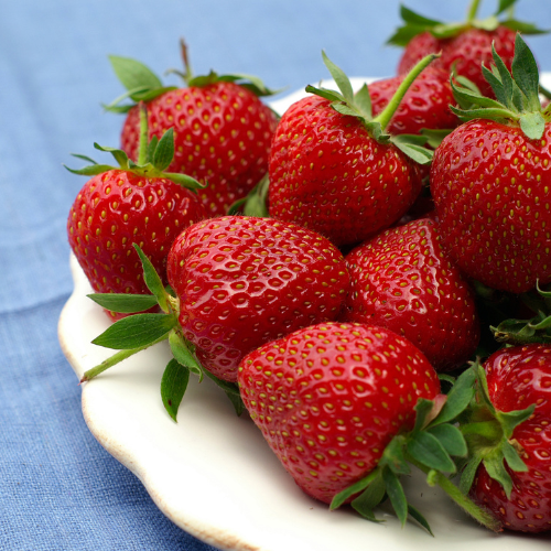 Erdbeeren, die süße des Lebens